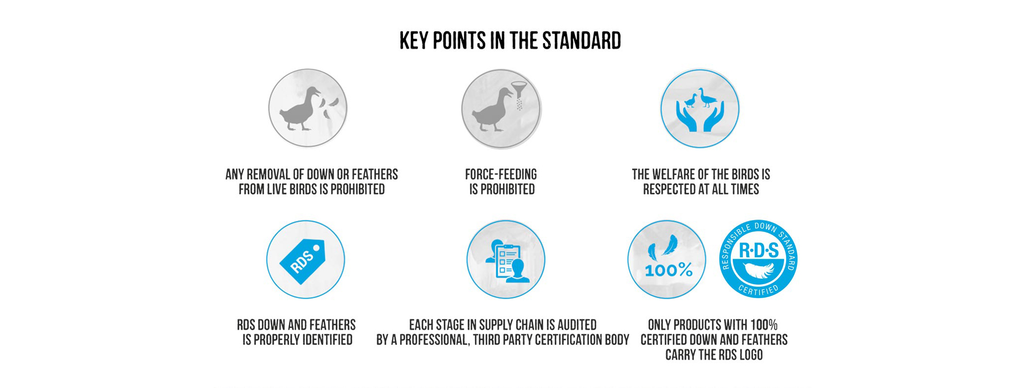 Responsible Down Standard: Is Down Outdoor Gear Ethical or Eco